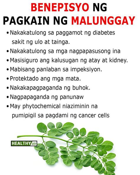 Benepisyo ng Malunggay .